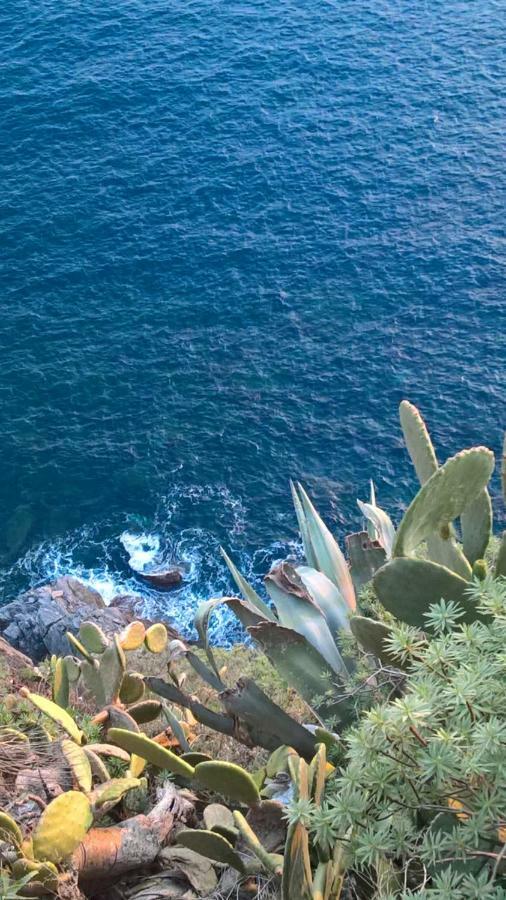 The Pearl Of 5 Terre - Monterosso Daire Monterosso al Mare Dış mekan fotoğraf